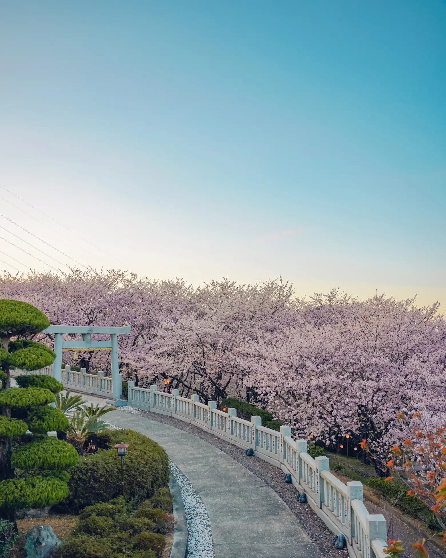 🏞️ 카가와 용수 기념 공원(카가와 요스이 키넨 코엔) 이미지 5